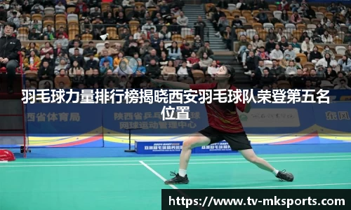 MK体育